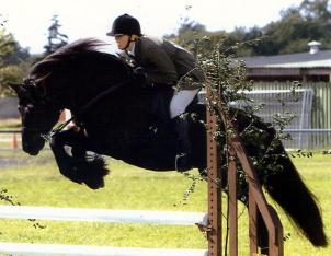 Kent Livery Yard  Nic with Danny