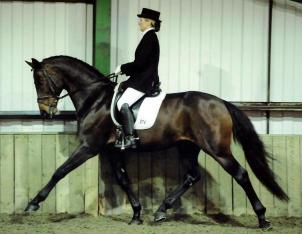 Kent Livery Yard Tanya with Lord Classic