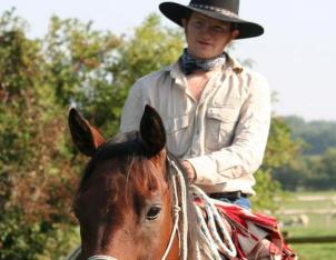 Kent Livery Yard  Tom