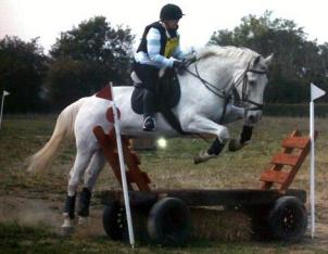 Kent Livery Yard Karen and Murphy