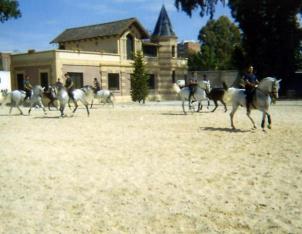 Kent Livery Yard  Trip to Jerez